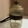 Antique Rippingilles Drip Feed Paraffin bottle Image 4