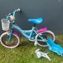 frozen bike Image 2