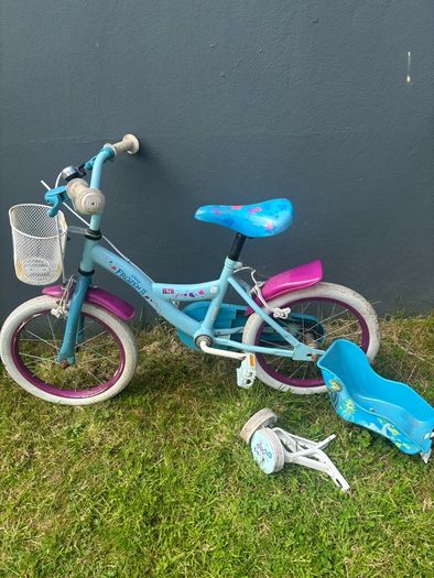 frozen bike