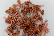 Palitoy Action Man Hand Pegs and Hands