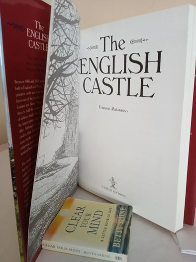 The English Castle by Francois Matarasso (GT313)