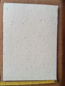 A4 Eco Bloom Plantable Seed Paper Natural