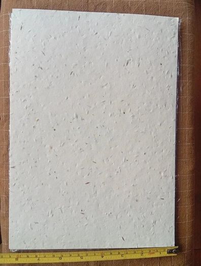 A4 Eco Bloom Plantable Seed Paper Natural