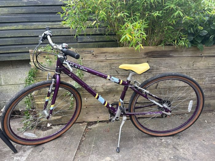 Raleigh Pop 26inch girls bike