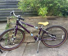 Raleigh Pop 26inch girls bike