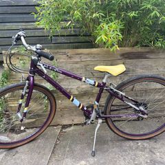 Raleigh Pop 26inch girls bike