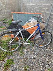 Job lot of bikes fixers ups