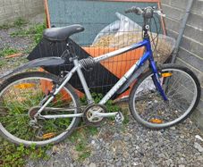 Job lot of bikes fixers ups