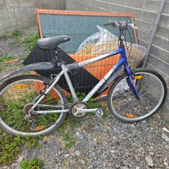 Job lot of bikes fixers ups