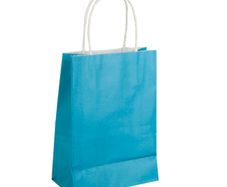 100 Sky Blue Bags - 21x27cm - Free Postage
