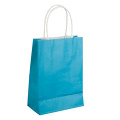 100 Sky Blue Bags - 21x27cm - Free Postage