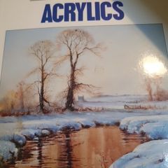 Learn To Paint Acrylics In Very Good Condition From Pet Smoke Free Home Lits Of Books Listed For 1 2 3 Euro