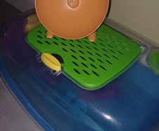 Hamster cage