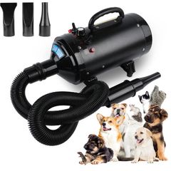 Pet Dryer for Dog Grooming Pet Hair Dryer with Adjustable Wind Speed, 2400 W Dog Dryer with 3 Nozzles