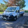 Citroen Really Tipper plus tail lift Image 3