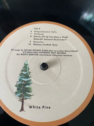 Sufjan Stevens Presents... Greetings from Michigan, the Great Lake State