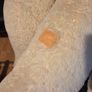 Giant Teddy Bear Image 4
