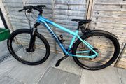 Mountain bike
