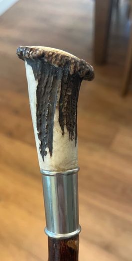 Blackthorn showing stick