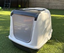 Cat Toilet small