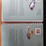 CIMA Accounting Standards in Depth Image 3