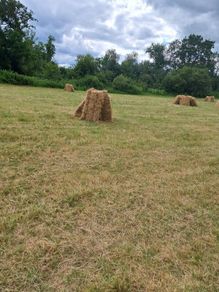 Small square bales of hay
