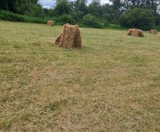 Small square bales of hay