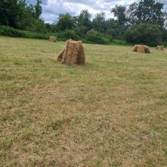Small square bales of hay