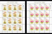 2008 Ireland Fauna &amp; Flora: Fungi Commemorative Stamp Sheetlet Plate 1B1B1B1B1B Mint Never Hinged (MNH)