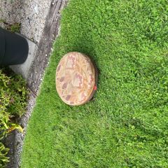 antique monotony footstool.  4 of 5 legs intact