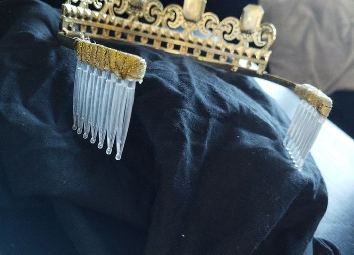 Audrey from descendents crown