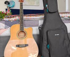 Acoustic guitar with cover
