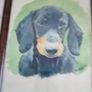 Framed print of dog. Image 6
