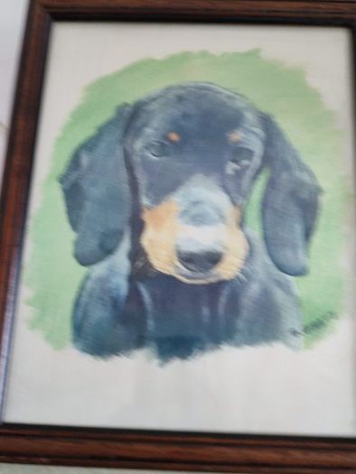 Framed print of dog.