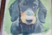 Framed print of dog.