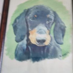 Framed print of dog.
