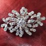 Large Diamonte Brooch Image 4