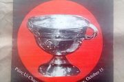 Castlehaven 1989 Cork County Football final programmes (postage included)