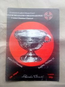 Castlehaven 1989 Cork County Football final programmes (postage included)