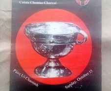 Castlehaven 1989 Cork County Football final programmes (postage included)
