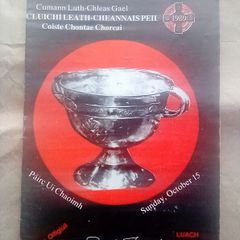 Castlehaven 1989 Cork County Football final programmes (postage included)