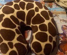 travel pillow