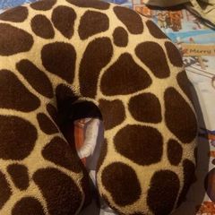 travel pillow