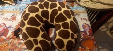 travel pillow