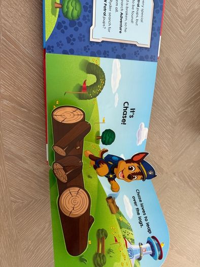 Paw Patrol book
