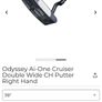 odyssey  ai-one double back Image 8