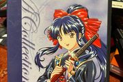 Anime DVDs