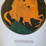 An Introduction To Greek Art By Susan Woodford. Large Volume Paperback In Good Condition. Image 7