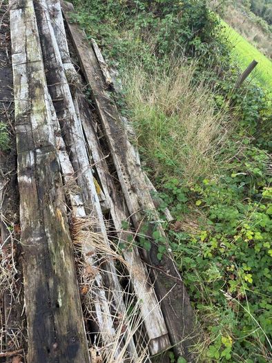 Greenheart wood hardwood beam/timber