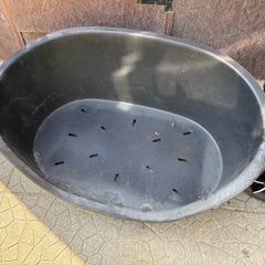 dog bed